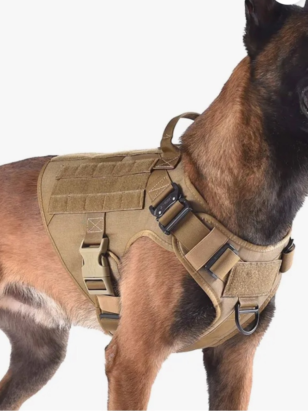 ICEFANG Tactical dog harness L